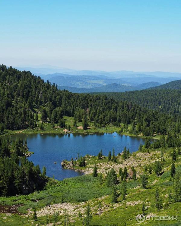 База отдыха на Ае Митькина Заимка (Россия, Алтайский край) фото