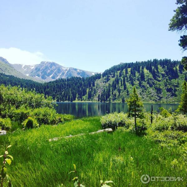 База отдыха на Ае Митькина Заимка (Россия, Алтайский край) фото