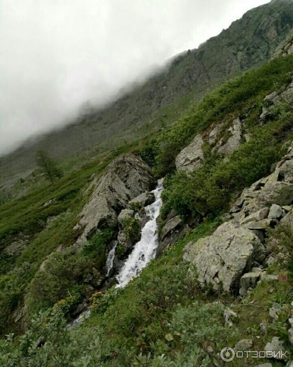 База отдыха на Ае Митькина Заимка (Россия, Алтайский край) фото