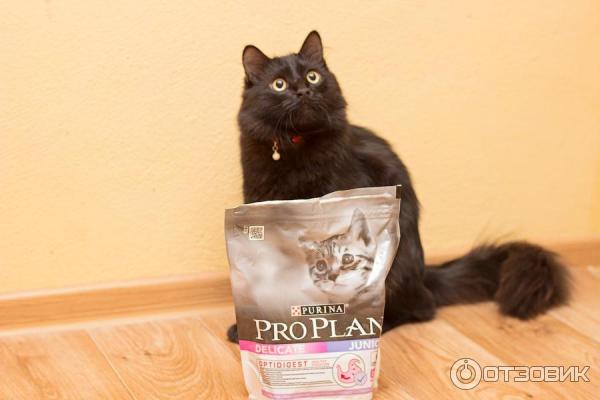 Сухой корм для котят Purina Pro Plan Delicate Junior фото