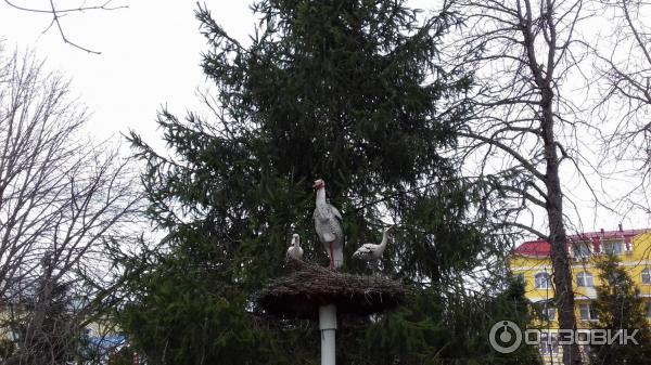 Санаторий Предгорье Кавказа (Россия, Горячий Ключ) фото
