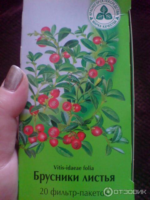 Брусника от отеков отзывы. Брусники листья Красногорсклексредства. Листья брусники в пакетиках. Брусника лист. Брусничный лист в пакетах.