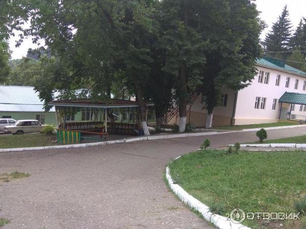 Сосновый бор ул гагарина 98 кисловодск фото