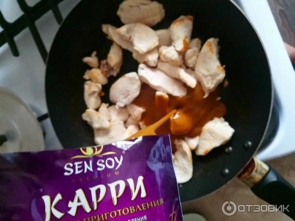 Соус Sen Soy Premium Карри фото