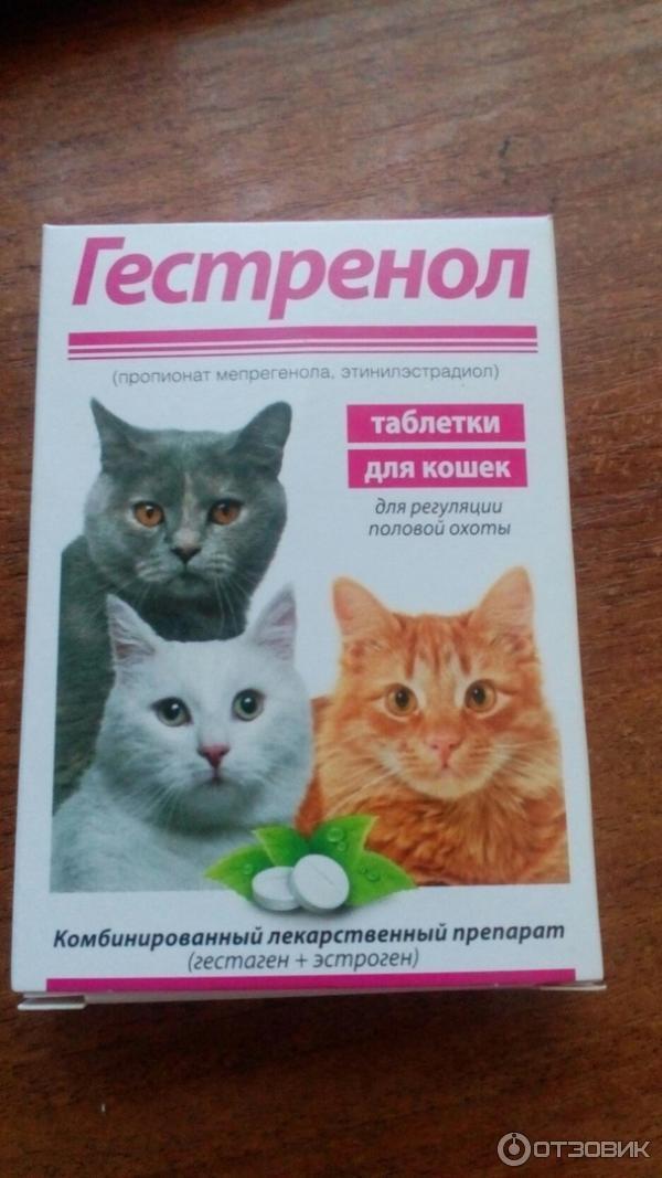 Можно гестренол. Гестренол телефон на упаковке. Гестренол капли для кошек инструкция. Гестренол таблетки для кошек. Гестренол капли.