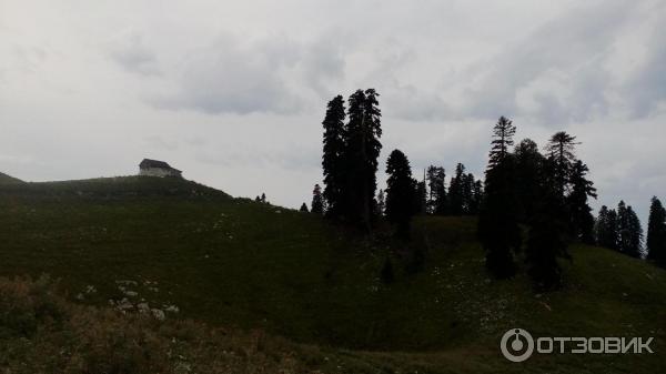 Экскурсия на гору Мамзышха (Абхазия, Гагры) фото