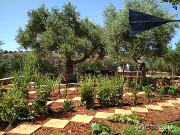 Парк Лабиринт (Греция, о. Крит) фото