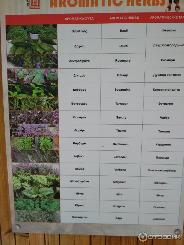 Парк Лабиринт (Греция, о. Крит) фото