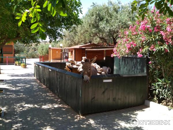 Парк Лабиринт (Греция, о. Крит) фото