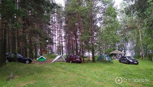 Жители села Топорня в Кирилловском районе обеспечены качественной связью