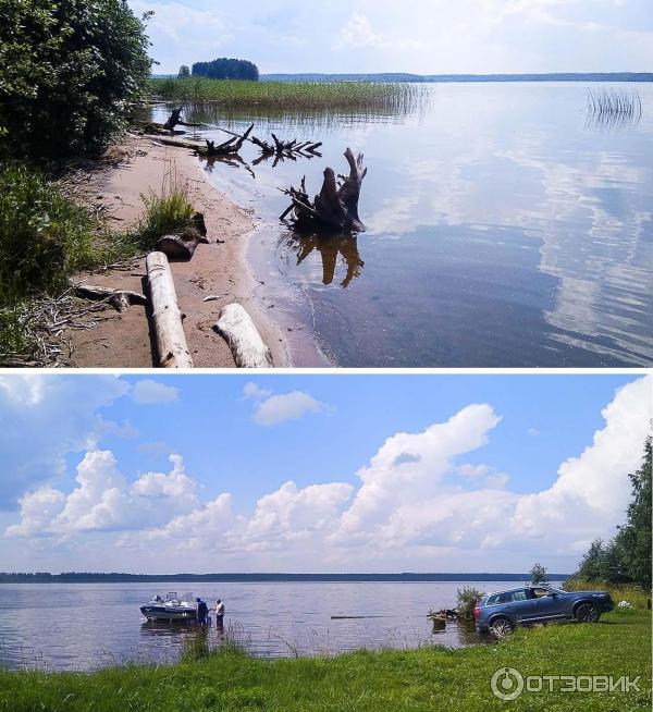 Музей скопы планируют создать на территории парка «Русский Север»