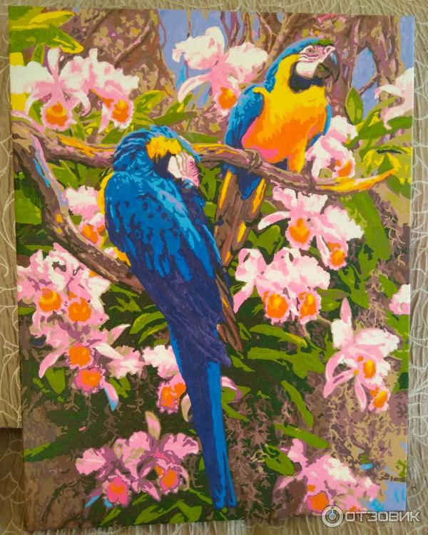 Картины по номерам Dimens ons Paint Works фото