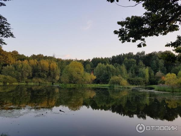 Терлецкий лесопарк (Россия, Москва) фото