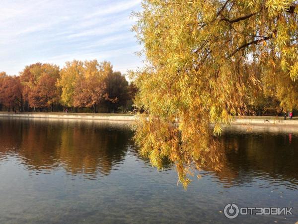 Терлецкий лесопарк (Россия, Москва) фото