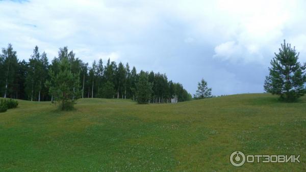 Природный парк Ямской лес (Россия, Тверская область) фото