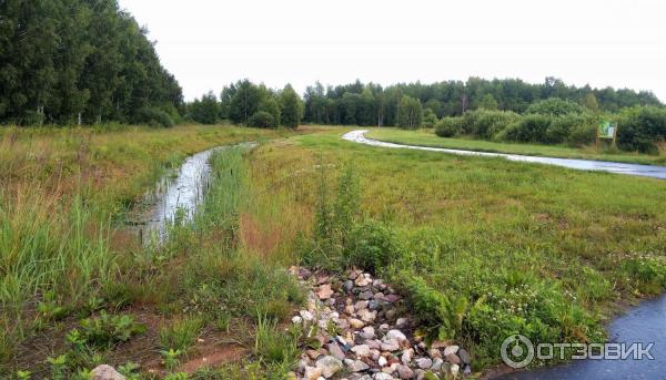 Природный парк Ямской лес (Россия, Тверская область) фото