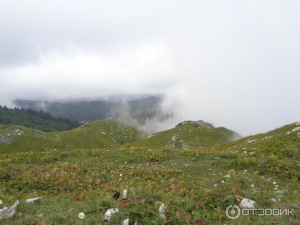 Экскурсия на гору Мамзышха (Абхазия, Гагры) фото