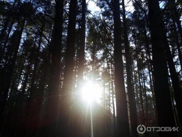 Отдых на озере Линево (Россия, Новосибирская область) фото