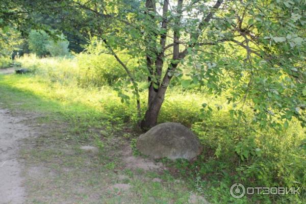 Музей Сад камней и Хаджохский дольмен (Россия, Адыгея) фото