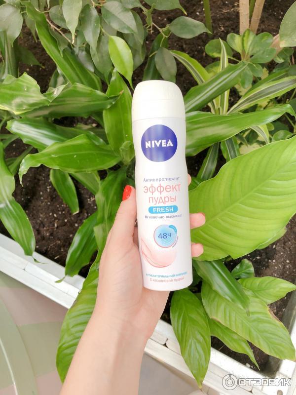 Антиперспирант Nivea Эффект пудры фото