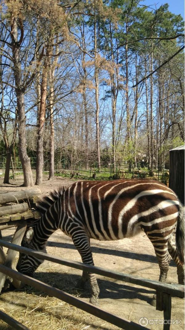 Купить Билет В Сафари Парк Краснодар