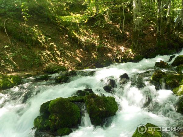 Экскурсия Каньоны (Черногория) фото