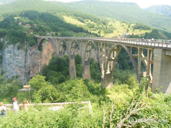 Экскурсия Каньоны (Черногория) фото