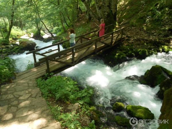 Экскурсия Каньоны (Черногория) фото