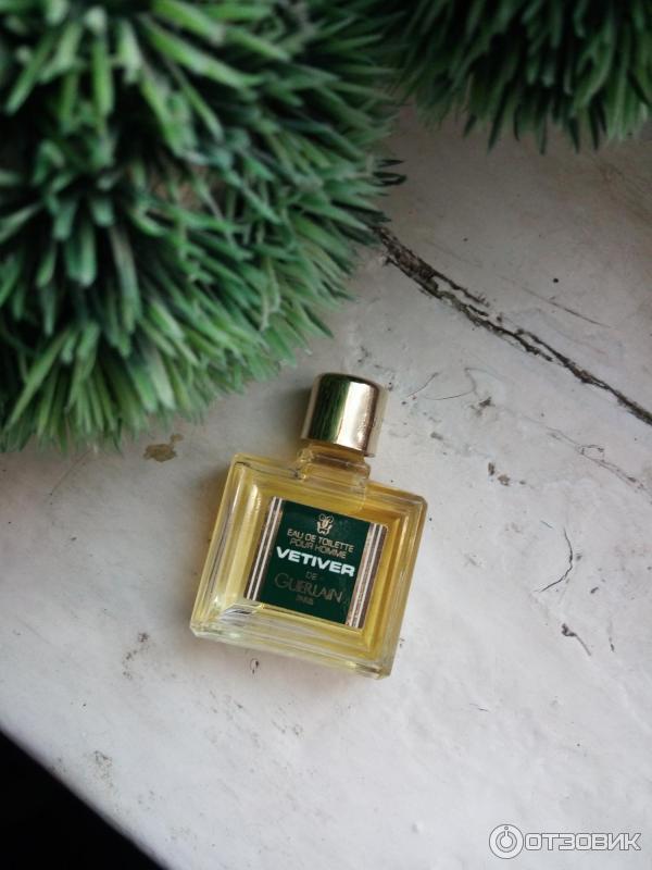 Vetiver frozen fragrance. Туалетная вода Guerlain Vetiver extreme. Guerlain Vetiver Frozen Fragrance.