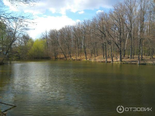 Экскурсия в Усадьбу Муромцевых (Россия, Баловнево) фото