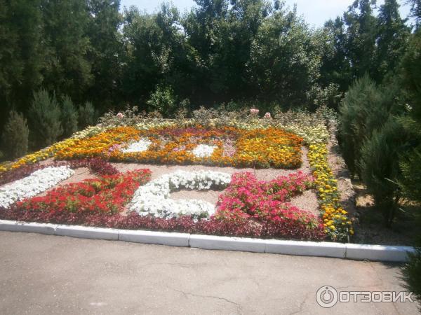 ДСК из цветов