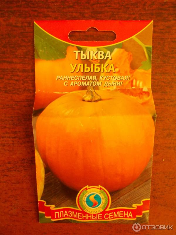 Тыква с запахом дыни сорт