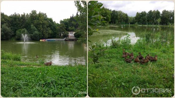 Дом отдыха Ершово (Россия, Звенигород) фото