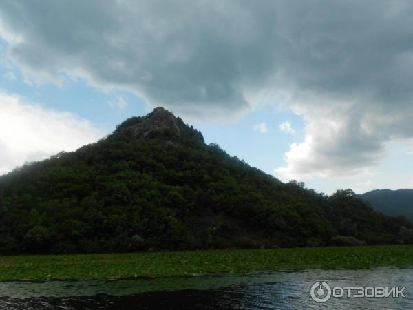 Скадарское озеро (Черногория) фото