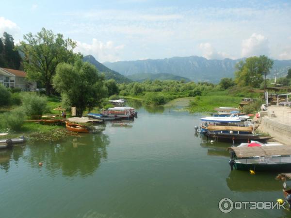 Скадарское озеро (Черногория) фото