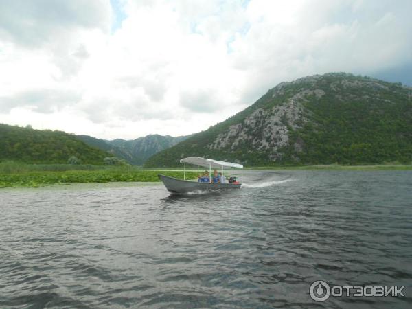 Скадарское озеро (Черногория) фото