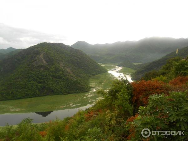 Скадарское озеро (Черногория) фото