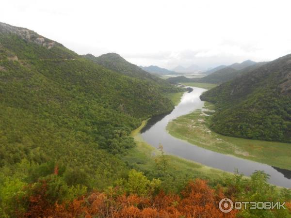 Скадарское озеро (Черногория) фото