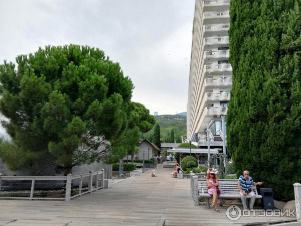 Отзыв о Гостиница Ялта-Интурист 4* (Крым, Ялта) Классное место, но не бюджетное,