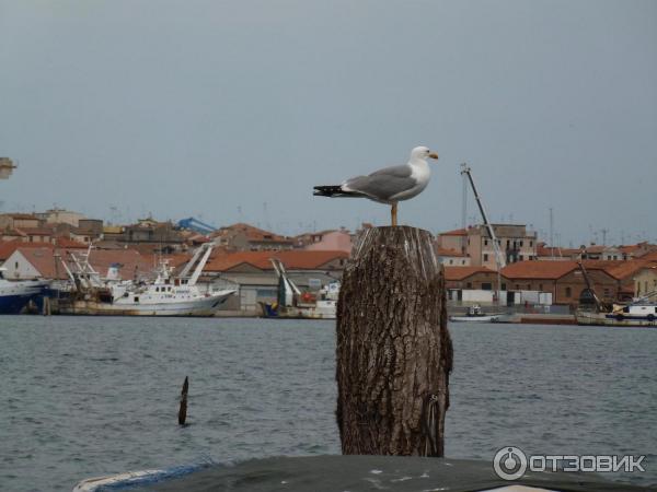 Вид на лагуну