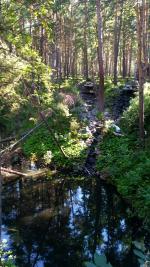 Санаторий "Сибиряк" (Россия, Бердск) фото