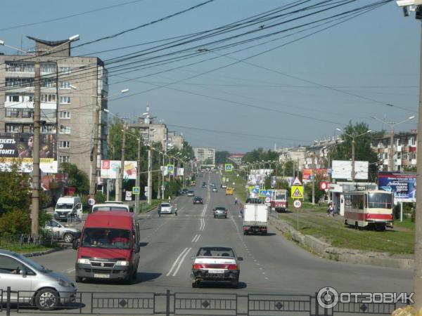 В Нижнем Тагиле заложили яблоневую аллею - Тагильский рабочий