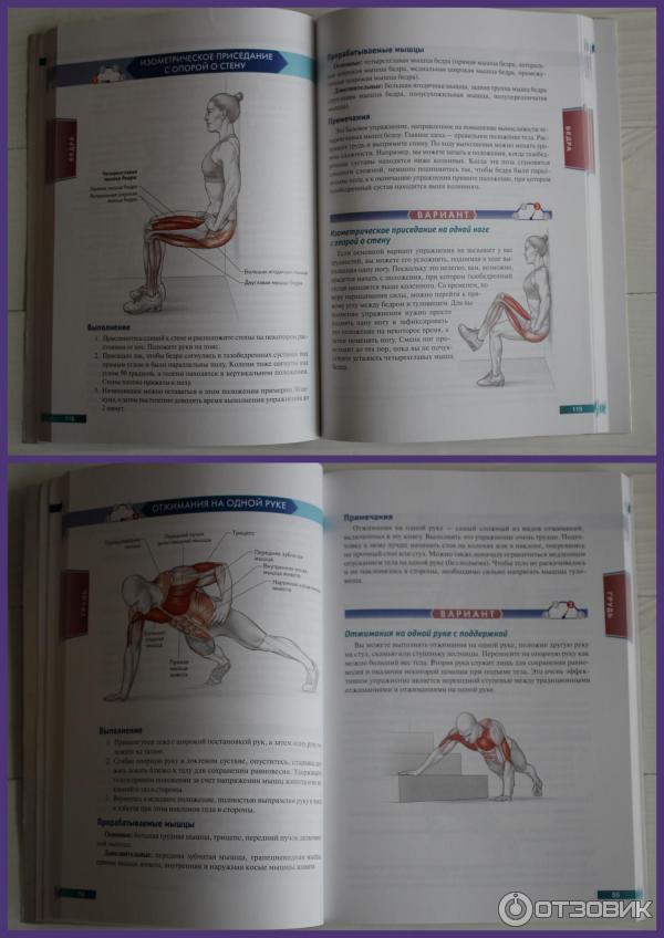 Анатомия упражнений контрерас. Анатомия силовых упражнений Брет Контрерас. Брет Контрерас - анатомия силовых упражнений (2014). Брет Контрерас анатомия силовых упражнений книга. Анатомия силовых упражнений с использованием.