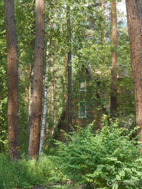 Туристическая база Троя (Россия, Республика Алтай) фото