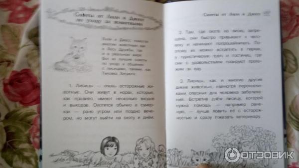 Книга Лисичка Тыковка, или Лунный камень - Дейзи Медоус фото