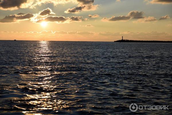 Парк возле концертного зала Фестивальный (Россия, Сочи) фото