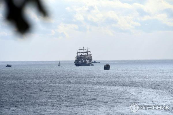 Парк возле концертного зала Фестивальный (Россия, Сочи) фото
