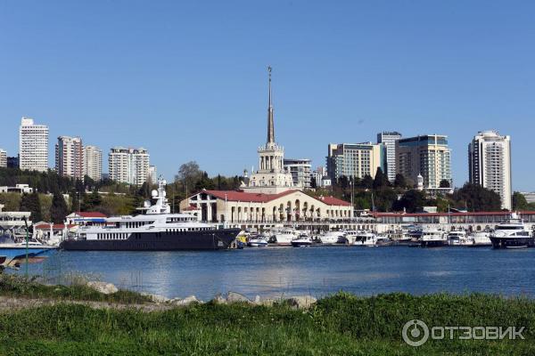 Парк возле концертного зала Фестивальный (Россия, Сочи) фото