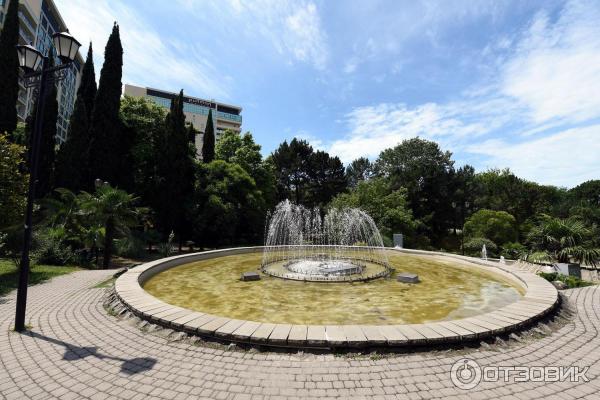 Парк возле концертного зала Фестивальный (Россия, Сочи) фото