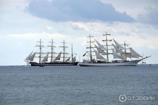 Парк возле концертного зала Фестивальный (Россия, Сочи) фото